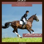 تاثیر سوارکاری بر اختلالات لگن